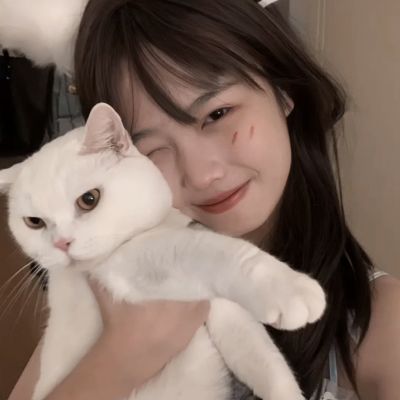 挂机屠龙官方版